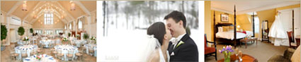 Renaissance Weddings